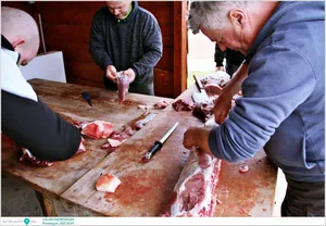 Pénzesgyőr, Falusi Disznóvágás 2025