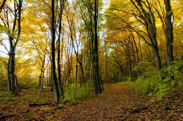 Fotó: Pesty Márton