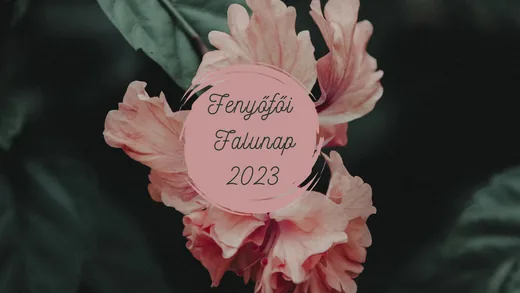'Fenyőfői Falunap 2023' cikk borítóképe