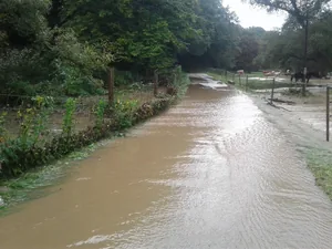 Gerence Pénzesgyőr 2018.09.04.