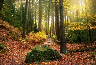 Újabb eltűntek, akik rendőrök segítségével találtak haza borítóképe