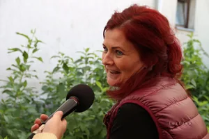 Kora délután, fotók: BakonyiHírek