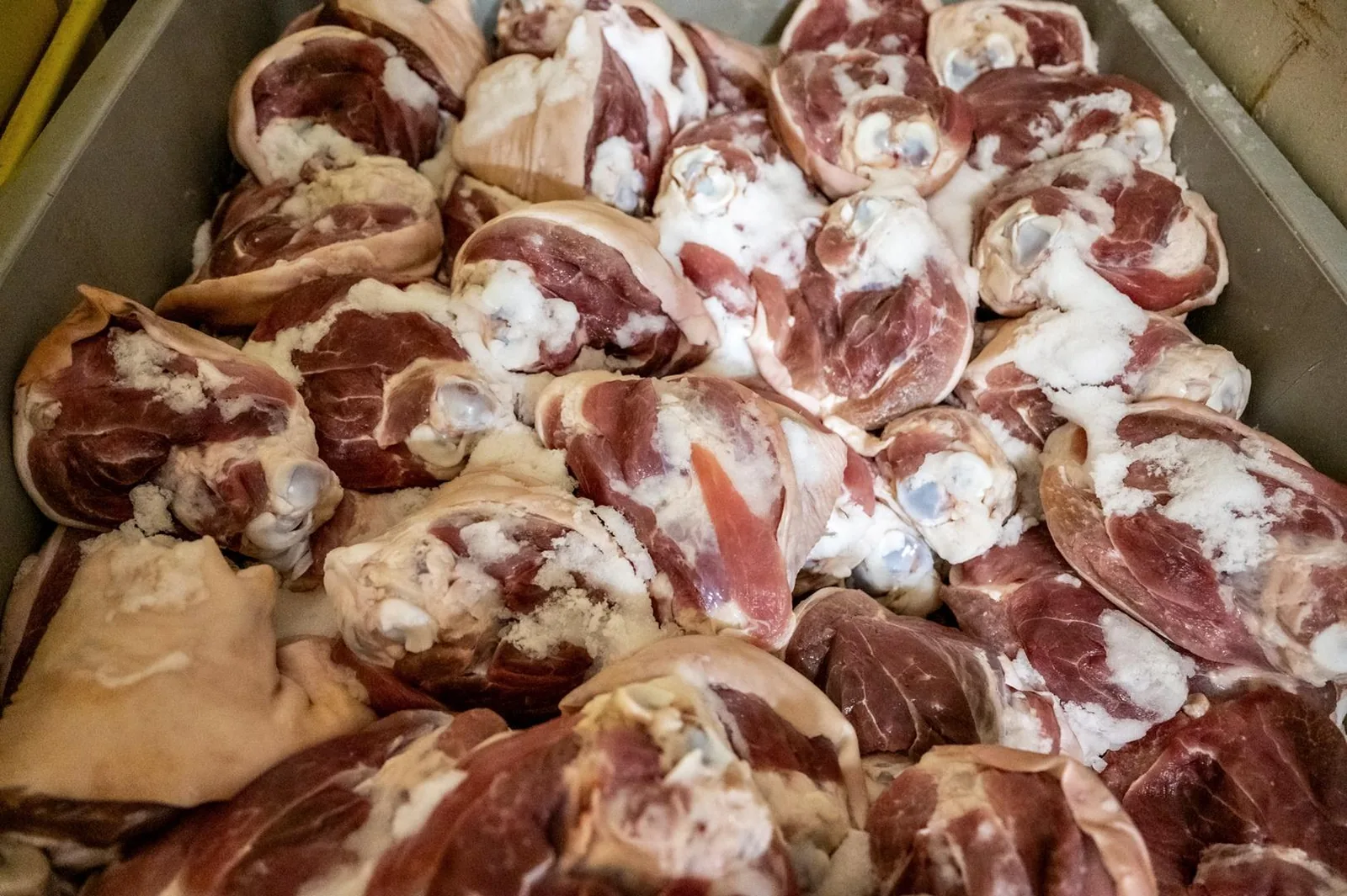 Képek: Horváth Dorottya