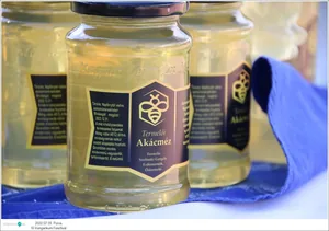 Fotók, Útirány.hu: