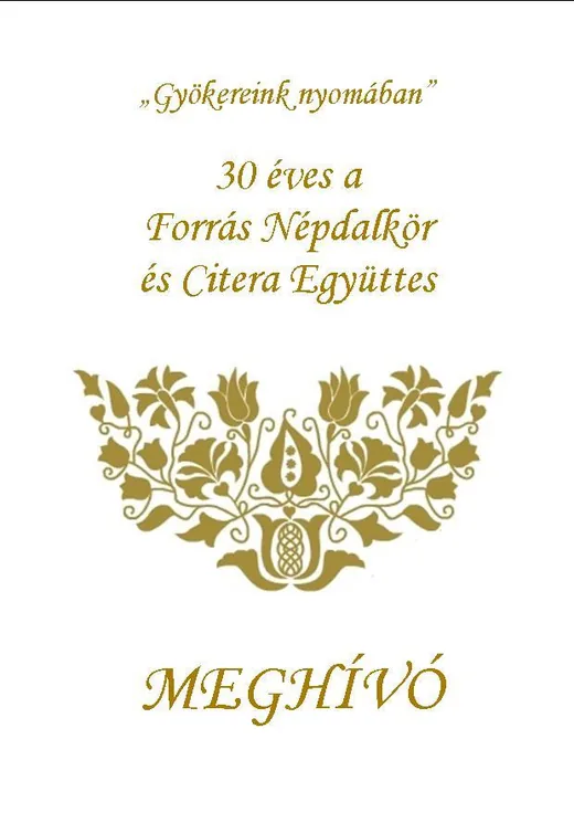 '30 Éves Jubileumi Népzenei Találkozó' cikk borítóképe