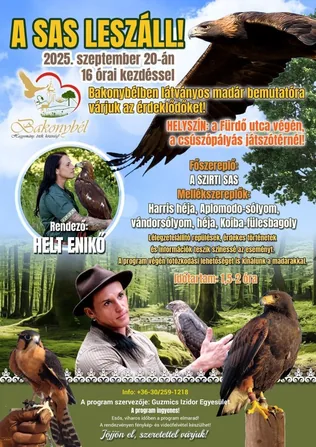 A SAS LESZÁLL! borítóképe