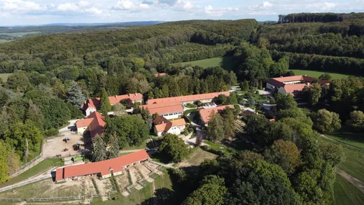 'Lovász-karbantartó állás' cikk borítóképe