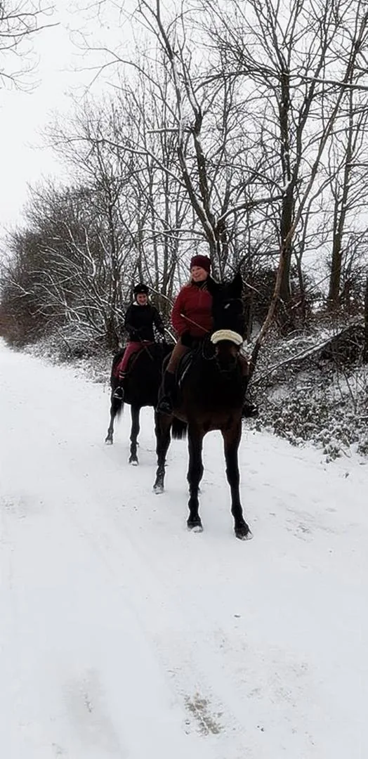 2018 tájfutás képekben