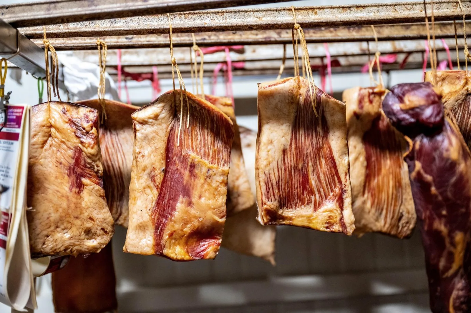 Képek: Horváth Dorottya