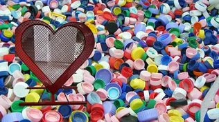 Kupakgyűjtő szív Sólyban borítóképe