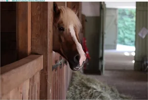 Képek: Útirány.hu