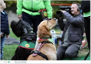 Fotók, Útirány.hu