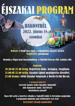 Éjszakai program borítóképe