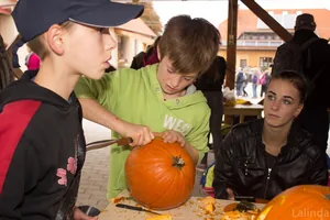 Fotók 1 album: Babai Lalinda