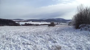 Téli Bakony, Fotók: Vilmos Weiszgerber 