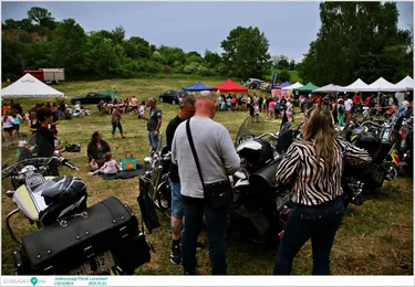 Jótékonysági Piknik Leventéért