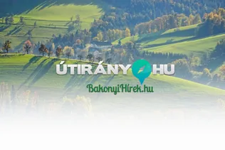 Önkormányzati honlapok és szolgáltatások vidéki településeknek borítóképe