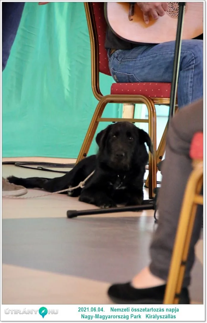 Fotók: Útirány.hu