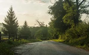 Fotó: Pesty Márton