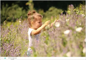 Fotók, Útirány.hu: