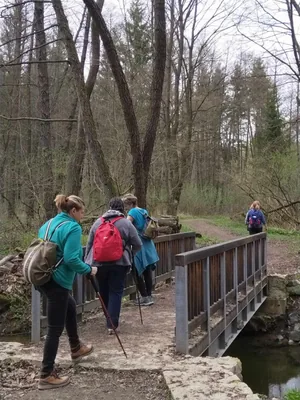 Fotók, Vadon Vándorai 