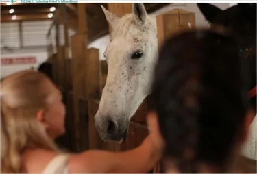 Képek: Útirány.hu