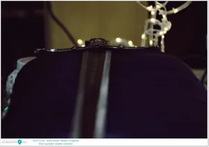 Szent István Pálinka Lovagrend alakuló és avatási ceremónia