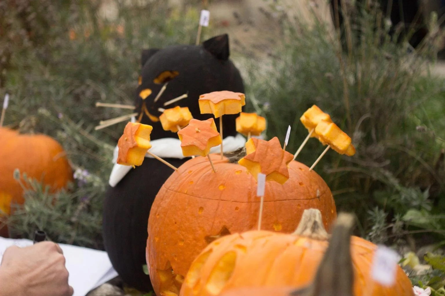 Tökfesztivál 2018. Képek: Babai Lalinda