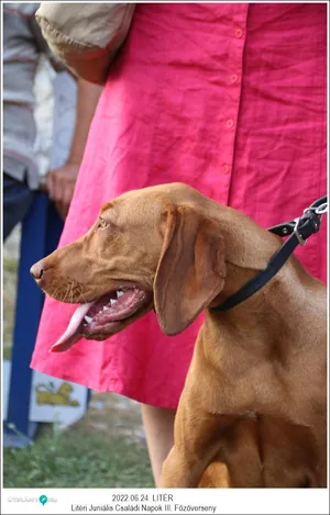 2022.06.24. képekben