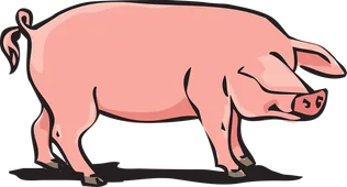 Hagyományos Disznótor borítóképe