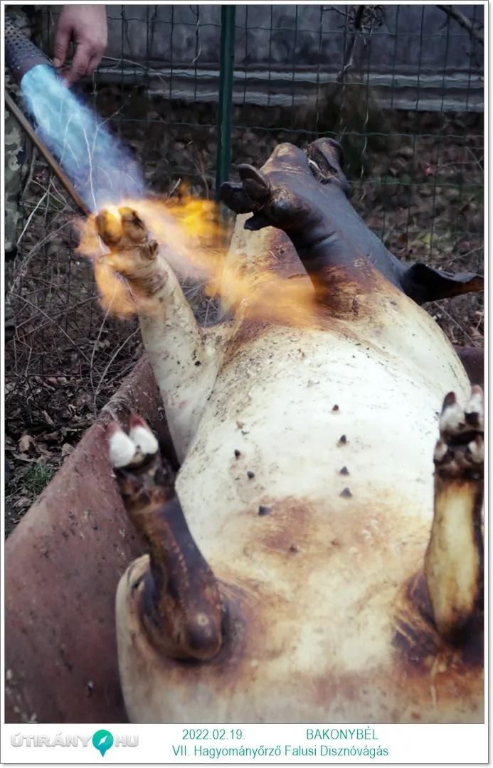 Fotók: Útirány.hu