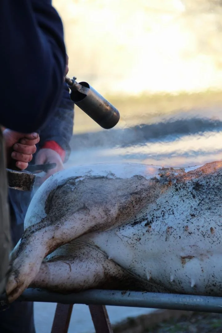 Fotók: Útirány.hu