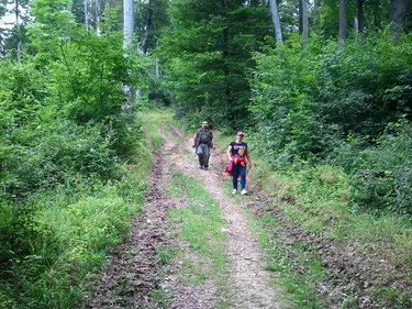 Napközis tábor képek 2018
