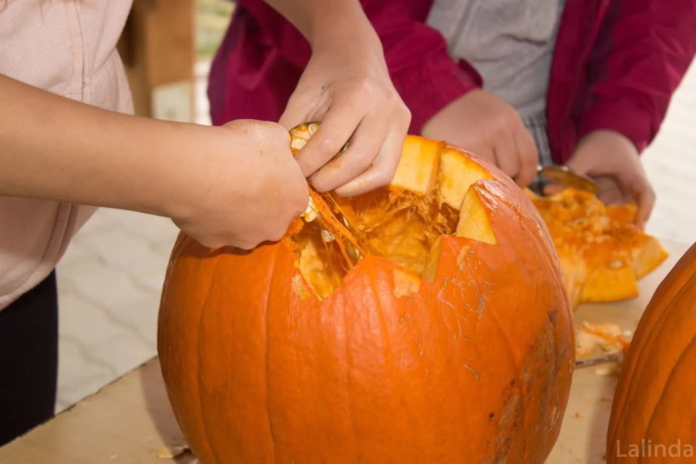 Fotók 1 album: Babai Lalinda