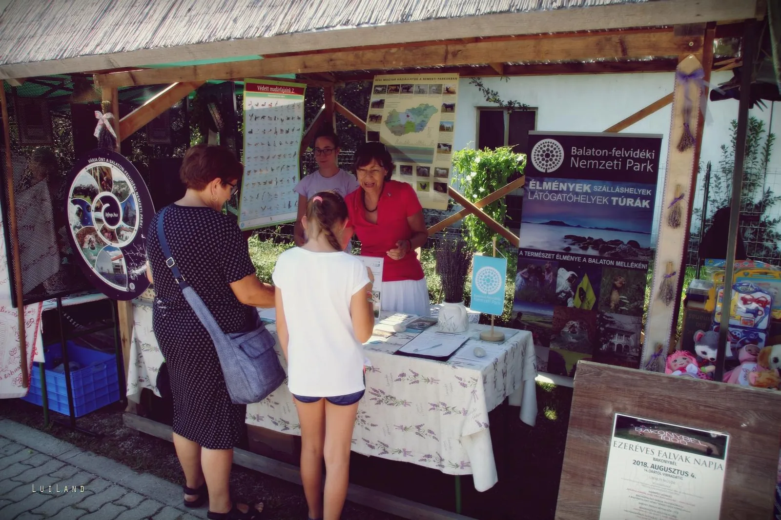 Millenniumi Falunap 2018, Képek: LuiLand