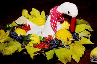 Márton Nap Fenyőfőn borítóképe