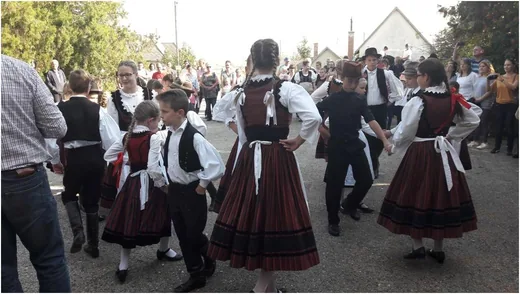 'Szüreti Felvonulás' cikk borítóképe
