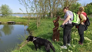 Akadálymentes túra borítóképe