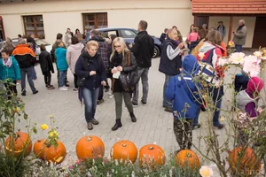 Fotók 2 album: Babai Lalinda