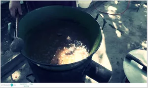 Sportnap 2020 Képek