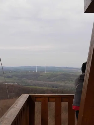 Fotók, Vadon Vándorai 