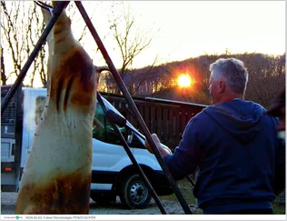 Falusi Disznóvágás borítóképe