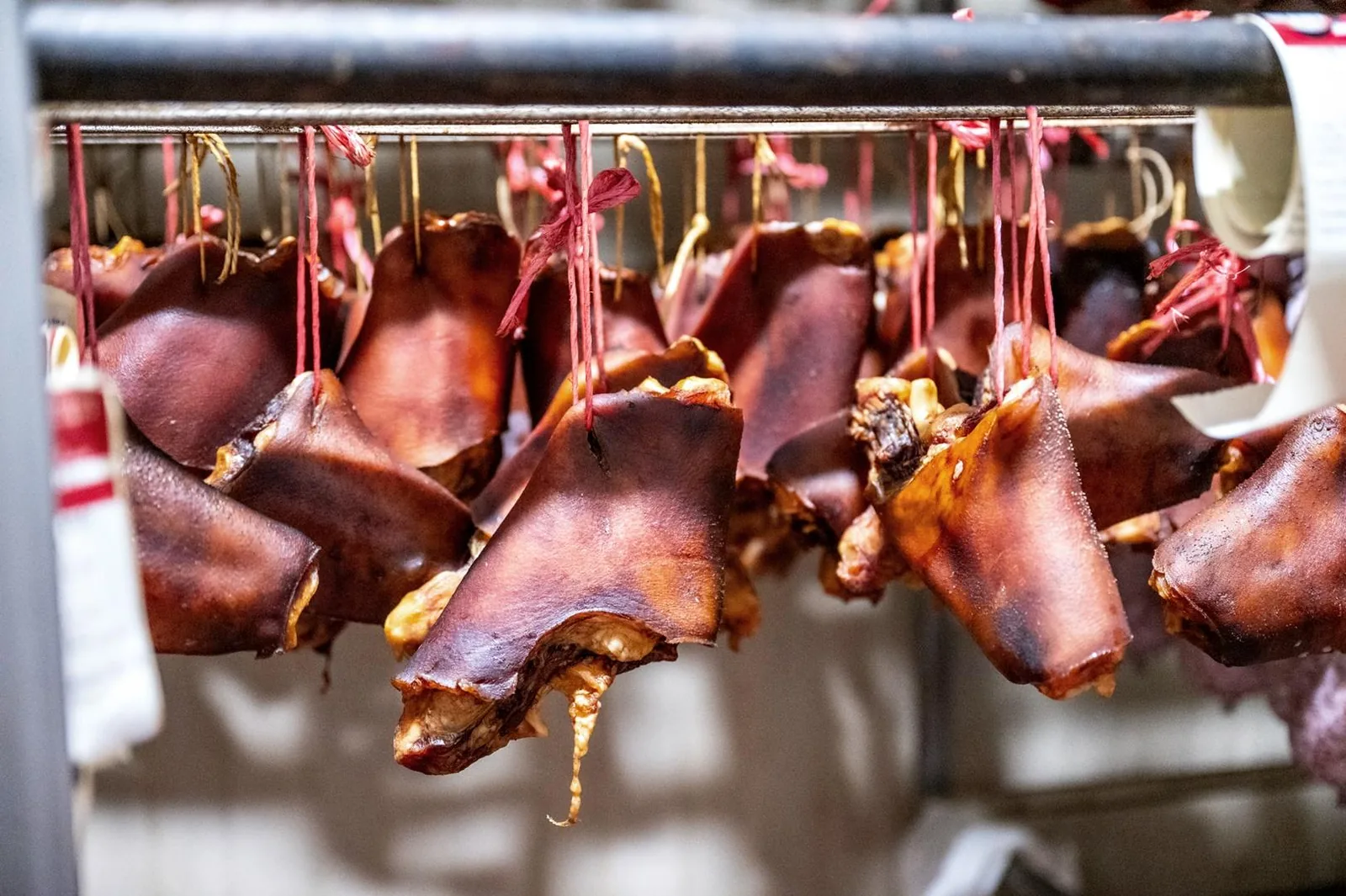 Képek: Horváth Dorottya