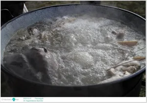 III. Hagyományos disznótor / Képek: Útirány.hu