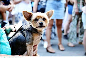 Fotók, Útirány.hu