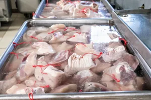 Képek: Horváth Dorottya