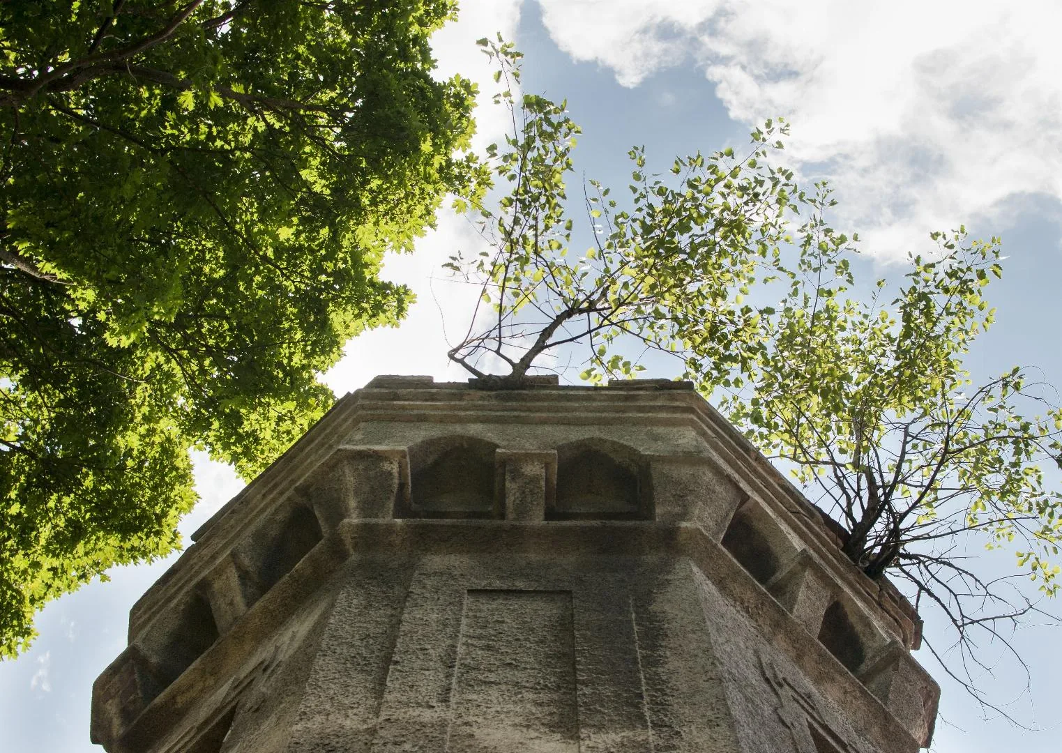 Fotó: Pesty Márton