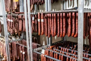 Képek: Horváth Dorottya