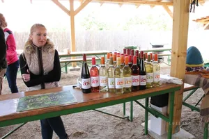 Fotók és kisfilm: Útirány.hu