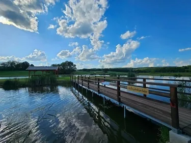 Képek
